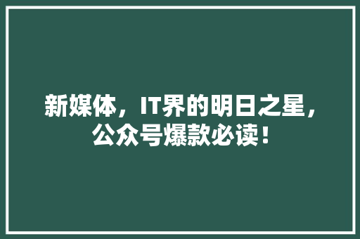 新媒体，IT界的明日之星，公众号爆款必读！ 神马SEO