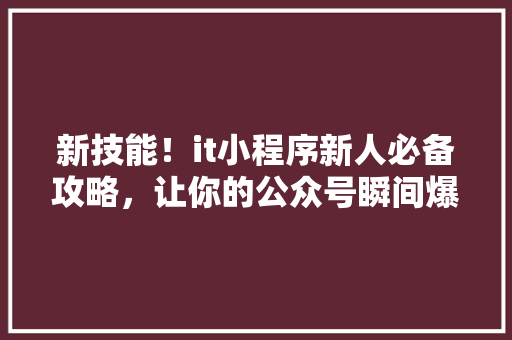 新技能！it小程序新人必备攻略，让你的公众号瞬间爆火！ 神马SEO