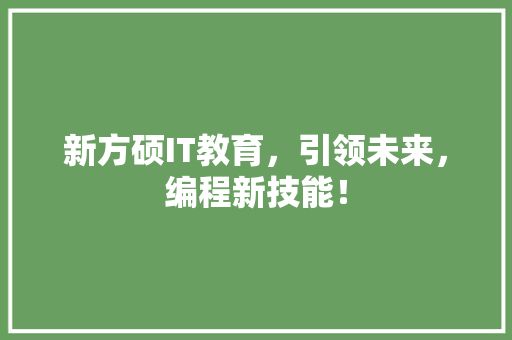 新方硕IT教育，引领未来，编程新技能！ GoogleSEO