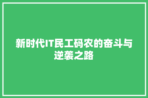 新时代IT民工码农的奋斗与逆袭之路 GoogleSEO