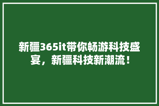 新疆365it带你畅游科技盛宴，新疆科技新潮流！ 神马SEO