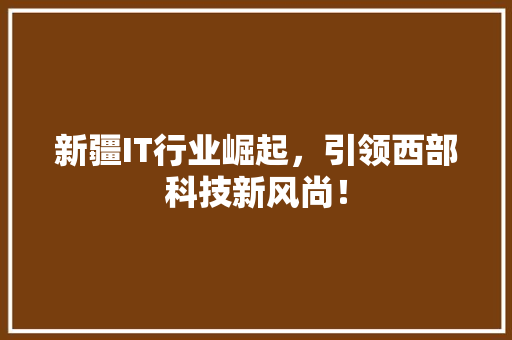新疆IT行业崛起，引领西部科技新风尚！ 必应SEO