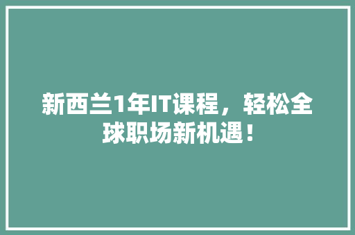新西兰1年IT课程，轻松全球职场新机遇！ GoogleSEO
