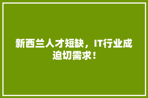 新西兰人才短缺，IT行业成迫切需求！ 百度SEO