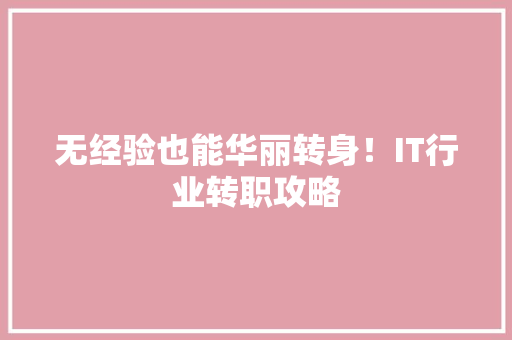 无经验也能华丽转身！IT行业转职攻略 GoogleSEO