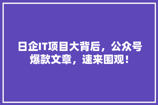 日企IT项目大背后，公众号爆款文章，速来围观！ 搜狗SEO