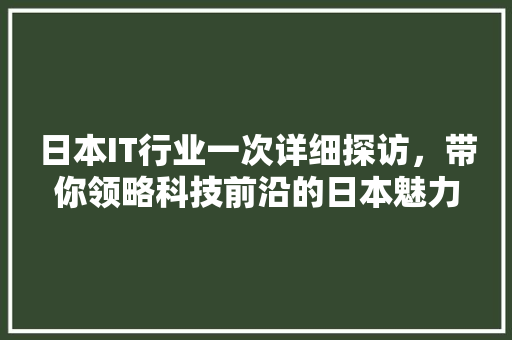 日本IT行业一次详细探访，带你领略科技前沿的日本魅力 神马SEO