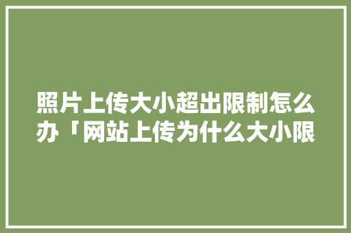 照片上传大小超出限制怎么办「网站上传为什么大小限制了」 照片上传大小超出限制怎么办「网站上传为什么大小限制了」 神马SEO