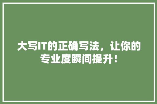 大写IT的正确写法，让你的专业度瞬间提升！ 搜狗SEO