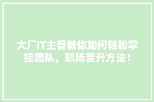 大厂IT主管教你如何轻松掌控团队，职场晋升方法！ GoogleSEO