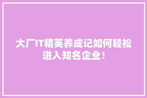 大厂IT精英养成记如何轻松进入知名企业！ GoogleSEO