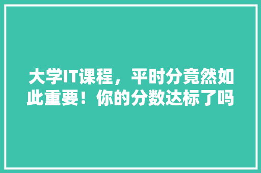 大学IT课程，平时分竟然如此重要！你的分数达标了吗 GoogleSEO