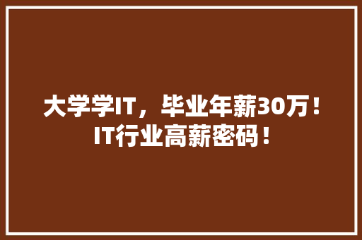 大学学IT，毕业年薪30万！IT行业高薪密码！ 必应SEO