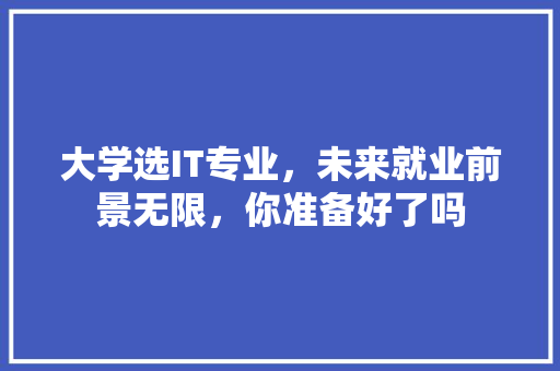 大学选IT专业，未来就业前景无限，你准备好了吗 GoogleSEO