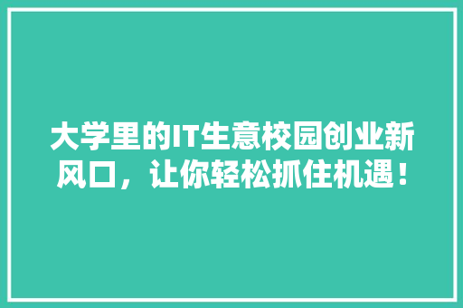 大学里的IT生意校园创业新风口，让你轻松抓住机遇！ 神马SEO