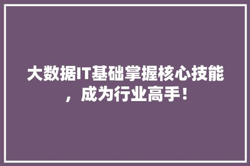 大数据IT基础掌握核心技能，成为行业高手！ 百度SEO
