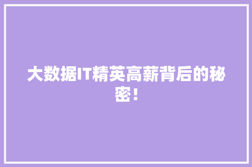 大数据IT精英高薪背后的秘密！ 神马SEO