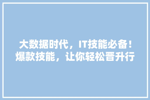 大数据时代，IT技能必备！爆款技能，让你轻松晋升行业高手！ GoogleSEO
