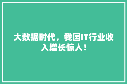 大数据时代，我国IT行业收入增长惊人！ 百度SEO