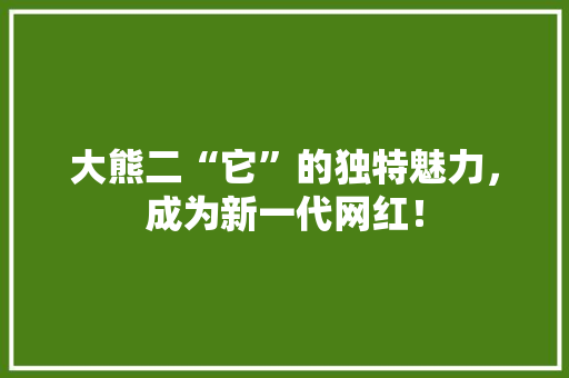 大熊二“它”的独特魅力，成为新一代网红！ 搜狗SEO