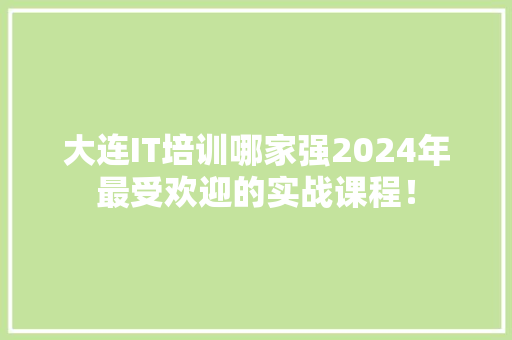 大连IT培训哪家强2024年最受欢迎的实战课程！ 神马SEO