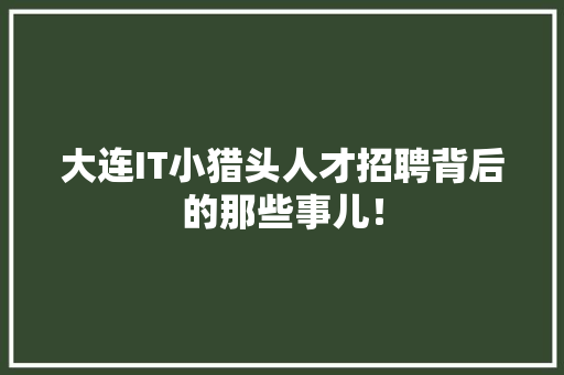大连IT小猎头人才招聘背后的那些事儿！ 神马SEO