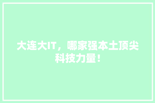 大连大IT，哪家强本土顶尖科技力量！ 百度SEO
