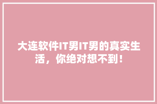大连软件IT男IT男的真实生活，你绝对想不到！ 搜狗SEO