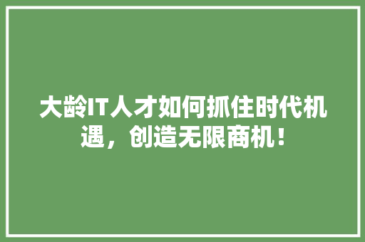 大龄IT人才如何抓住时代机遇，创造无限商机！ 神马SEO