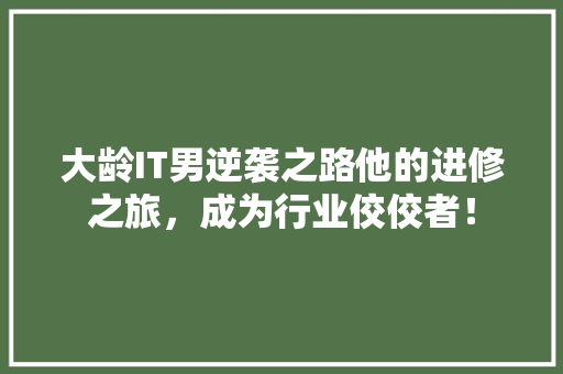 大龄IT男逆袭之路他的进修之旅，成为行业佼佼者！ 神马SEO