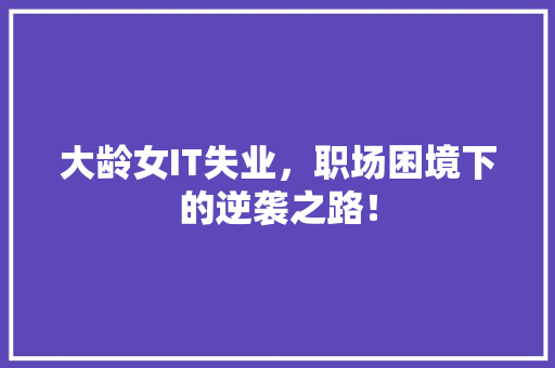 大龄女IT失业，职场困境下的逆袭之路！ 百度SEO