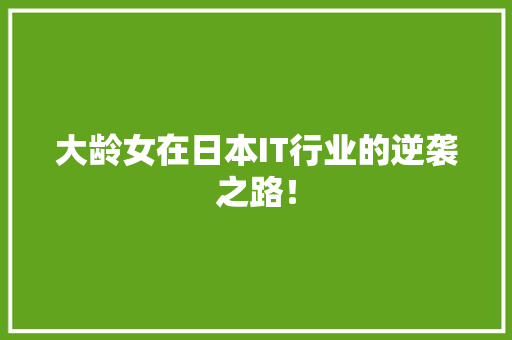 大龄女在日本IT行业的逆袭之路！ 神马SEO