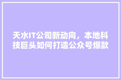 天水IT公司新动向，本地科技巨头如何打造公众号爆款！ 百度SEO