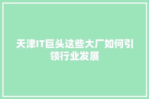 天津IT巨头这些大厂如何引领行业发展 GoogleSEO