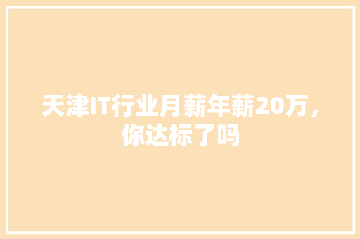 天津IT行业月薪年薪20万，你达标了吗 百度SEO