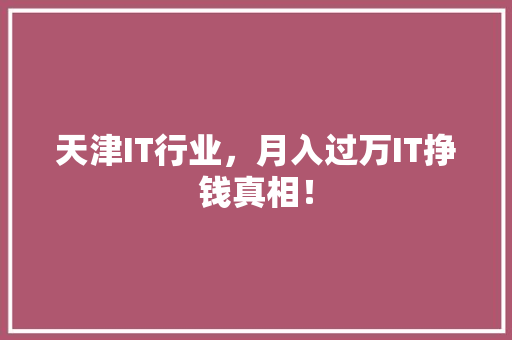 天津IT行业，月入过万IT挣钱真相！ 神马SEO