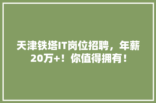 天津铁塔IT岗位招聘，年薪20万+！你值得拥有！