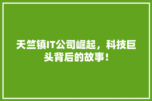 天竺镇IT公司崛起，科技巨头背后的故事！ 必应SEO