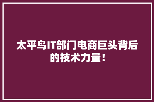 太平鸟IT部门电商巨头背后的技术力量！ GoogleSEO