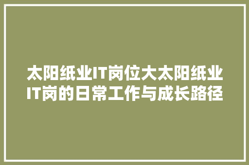 太阳纸业IT岗位大太阳纸业IT岗的日常工作与成长路径！ 神马SEO