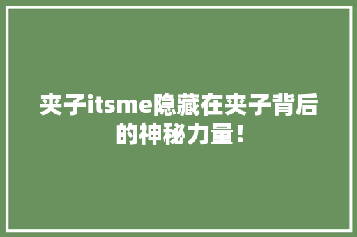 夹子itsme隐藏在夹子背后的神秘力量！ 百度SEO