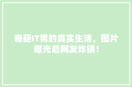 奇葩IT男的真实生活，图片曝光后网友炸锅！ 必应SEO
