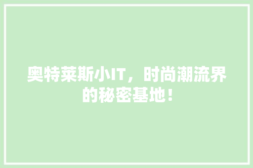 奥特莱斯小IT，时尚潮流界的秘密基地！ GoogleSEO