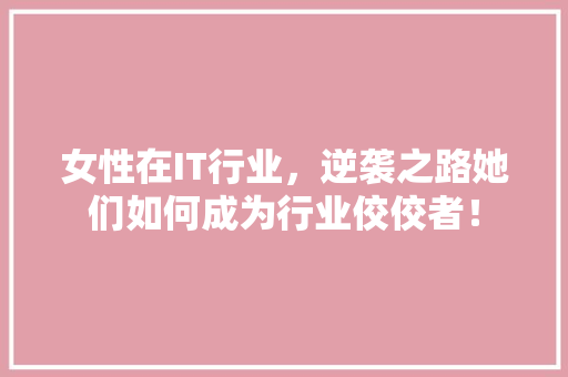 女性在IT行业，逆袭之路她们如何成为行业佼佼者！ 百度SEO