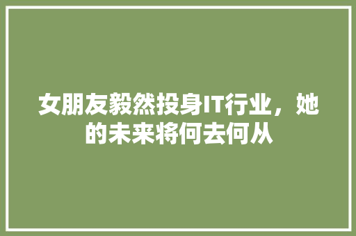 女朋友毅然投身IT行业，她的未来将何去何从 百度SEO