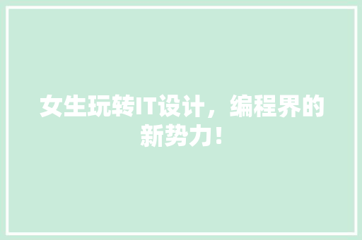 女生玩转IT设计，编程界的新势力！ 必应SEO