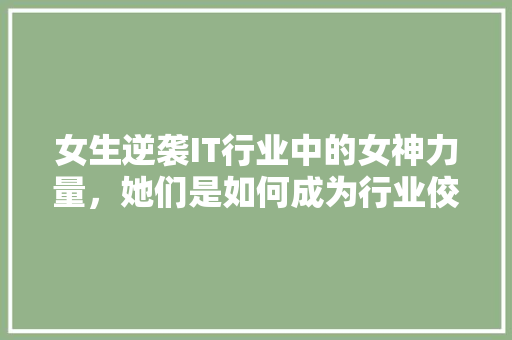 女生逆袭IT行业中的女神力量，她们是如何成为行业佼佼者的 必应SEO