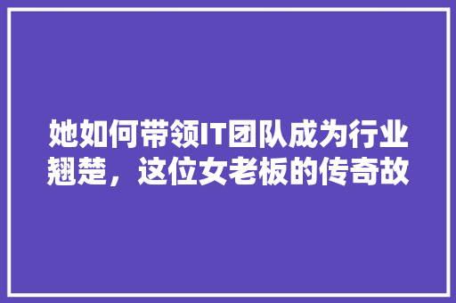 她如何带领IT团队成为行业翘楚，这位女老板的传奇故事令人惊叹！ 搜狗SEO