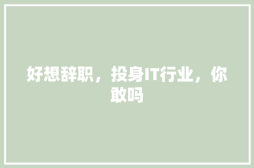 好想辞职，投身IT行业，你敢吗 GoogleSEO