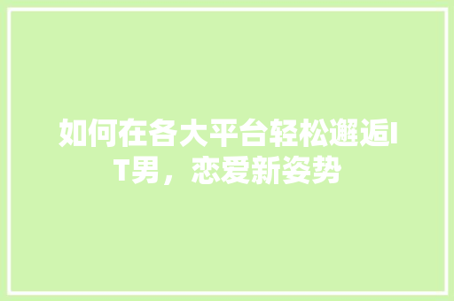 如何在各大平台轻松邂逅IT男，恋爱新姿势 必应SEO
